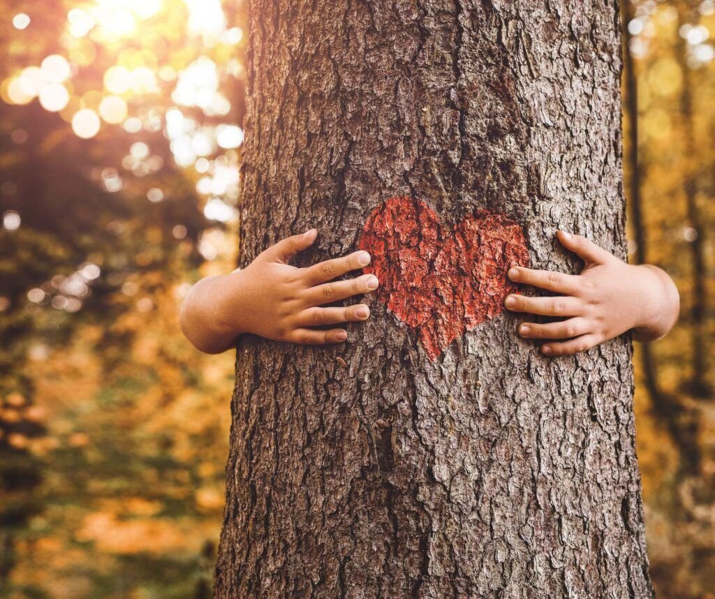 Sesión de terapia con psicóloga especializada en trauma